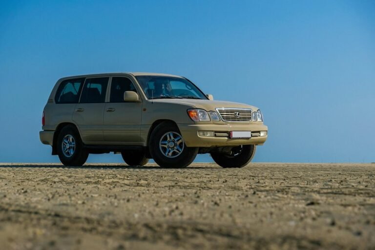 stable online model 1732280948